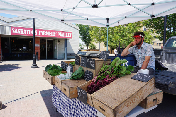 Vendor at Saskatoon farmers market